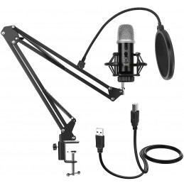 GUDEHOLO USB Microphone for Computer with Adjustment Arm Stand, Mute Button, USB Mic for Gaming, Podcast, Live Streaming, YouTube on PC, Fits for Windows &amp; PC, not for Phone